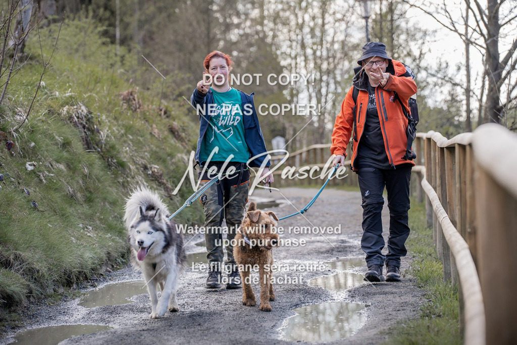 NR__0815 | nelerasche
