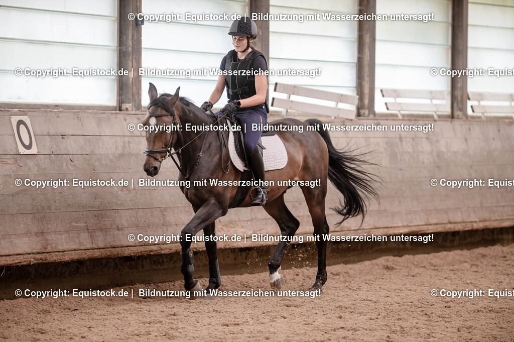 20250725_Vielseitigkeitslehrgang-Marbach_0010 | Foto: Thomas Hartig