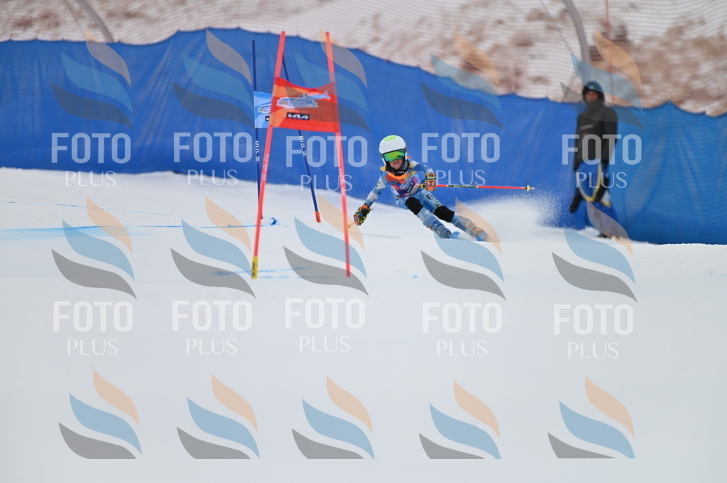 BGV_1502 | holidayphoto