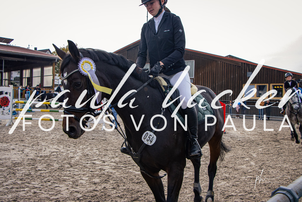 IMG_4584 | Erleben Sie dynamische Sport- und emotionale Tierfotografie in Süddeutschland mit Fotos von Paula. Spezialisiert auf Pferde- und Hundefotografie sowie Sportevents. Kontaktieren Sie mich für einzigartige und ausdrucksstarke Bilder Ihrer besonderen Momente. - Realisiert mit Pictrs.com