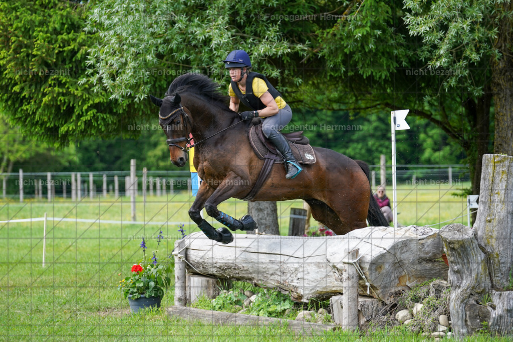 20240518-FAH04034 | Turnierbilder von Niederseon, Turnierfotografen Bayern, Fotoagentur Herrmann, Geländebilder, Reitsportfotografie