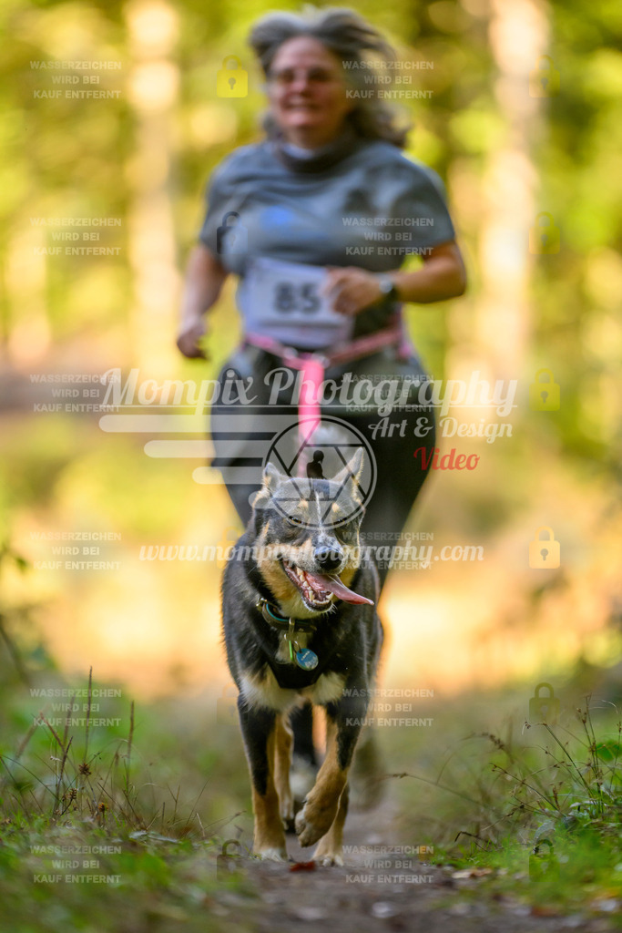 MompixPhotography_Yens2025_B3-157 | PayLife