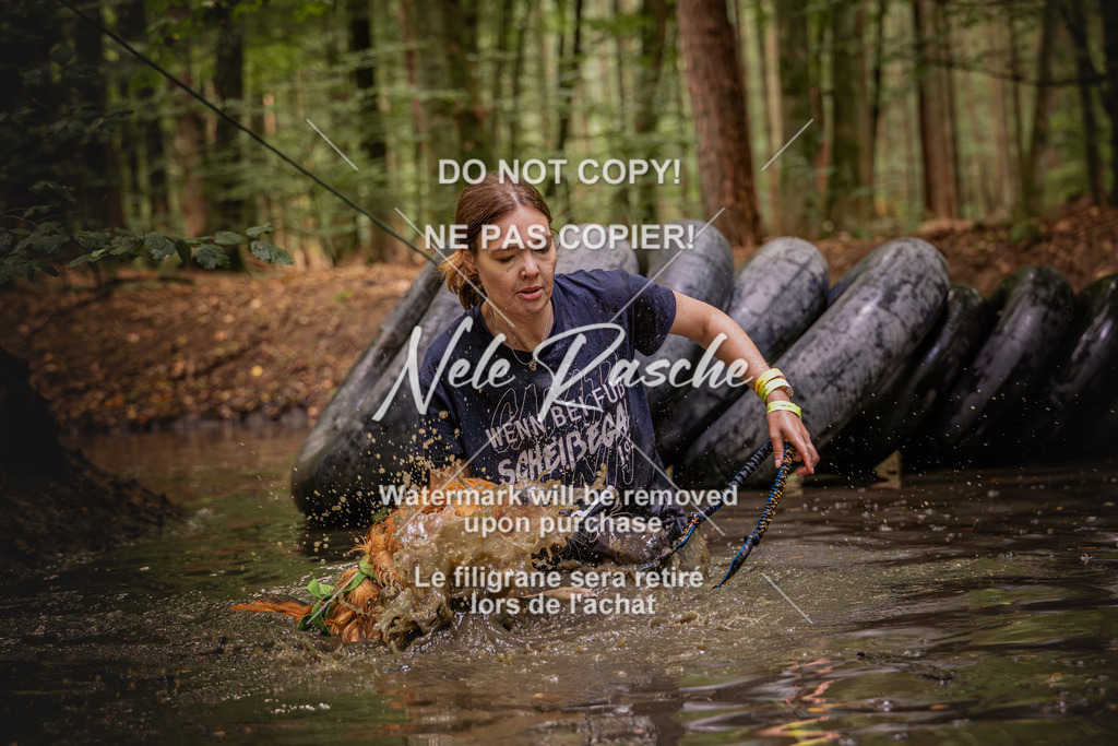 nelerasche_SaWingst1030-1130_85 | nelerasche