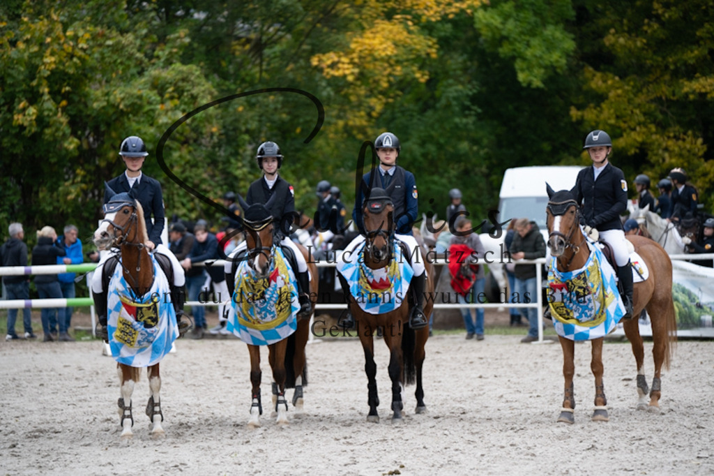 A7V00138 | Pferdefotograf