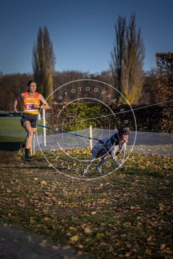CaniXpix_DV3A3398 | Hundefotografie, Tierfotograf, Pfotenfotografie, Fotoshooting Hund, Hunde Portrait, Hundesport, Hundeportraits, Heideshooting, Hunde, Sportfotograf, Hundefotograf, Turnierhundsport, THS,  - Realisiert mit Pictrs.com