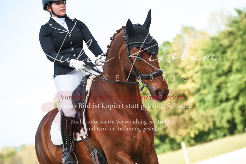 20230518_JK-Röhrsdorf-12-1171 | Pferde- und Turnierfotografie in Westsachsen. Pferdeportraits, Auftragszeichnungen und intuitive Kunst.