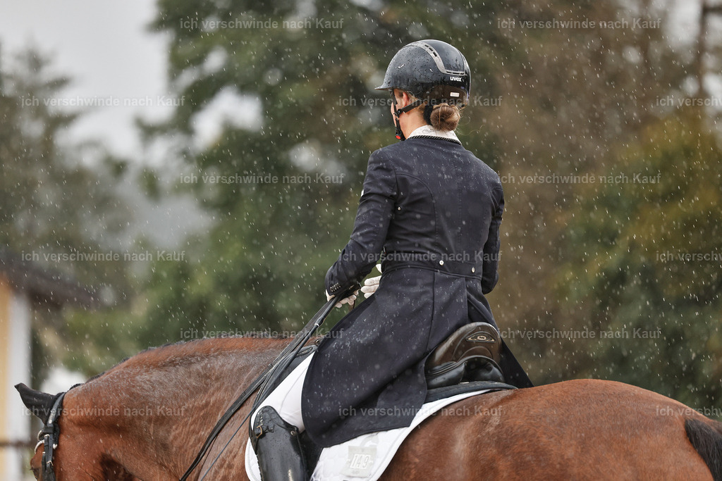 8_2-149-DRESSUR S_  -StoibPH-4490 | working equitationturnier fotograf videograf stoibphotography marixx film working equitation deutschland reitsport turnierfotografie eventfotografie equestrian events