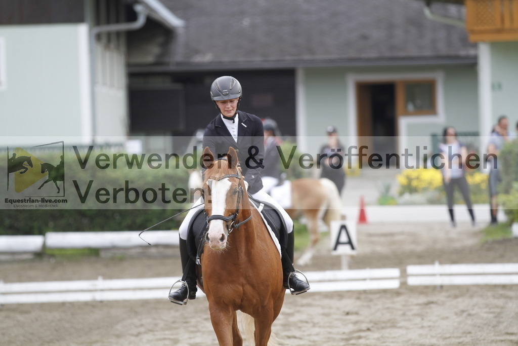 _MG_0853 | equestrian-live-com