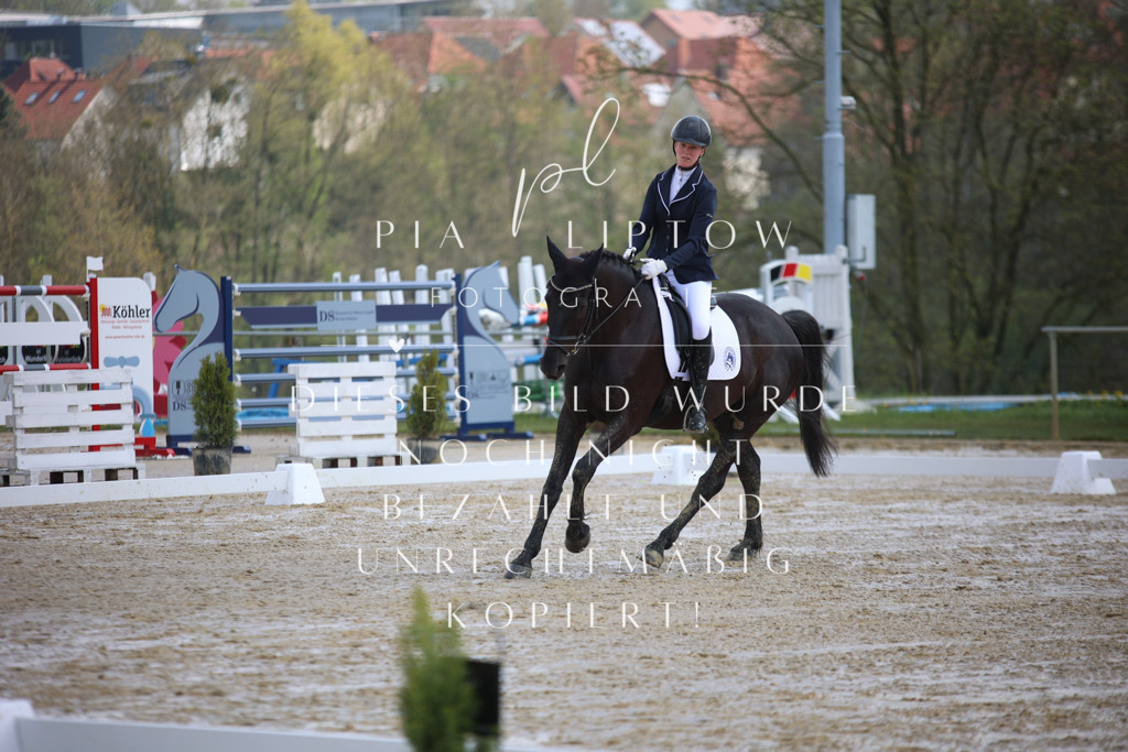 IMGT2315 | pl-fotografie