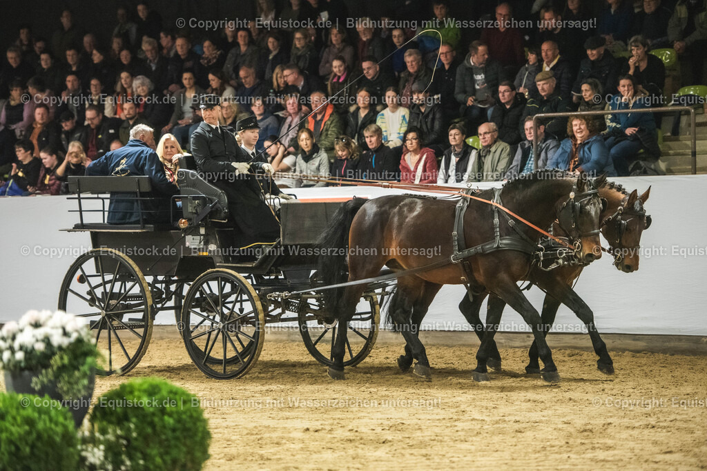 20240302_Hengstvorstellung_Marbach_TOMsPiC_0751 | equistock