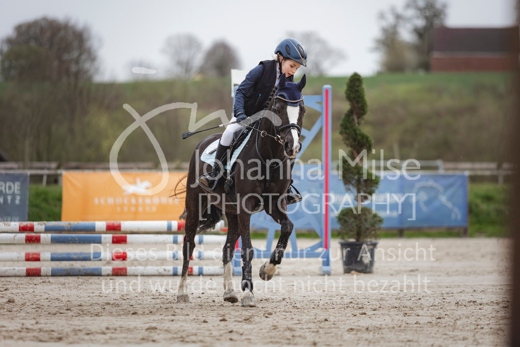 240330_Fruehlingsfest_Stilspring-WB-558 | Deine schönsten Turniermomente als professionelle Fotos! Entdecke hochwertige Pferdesport-Fotografie im Online-Shop. Jetzt Fotos finden & bestellen!