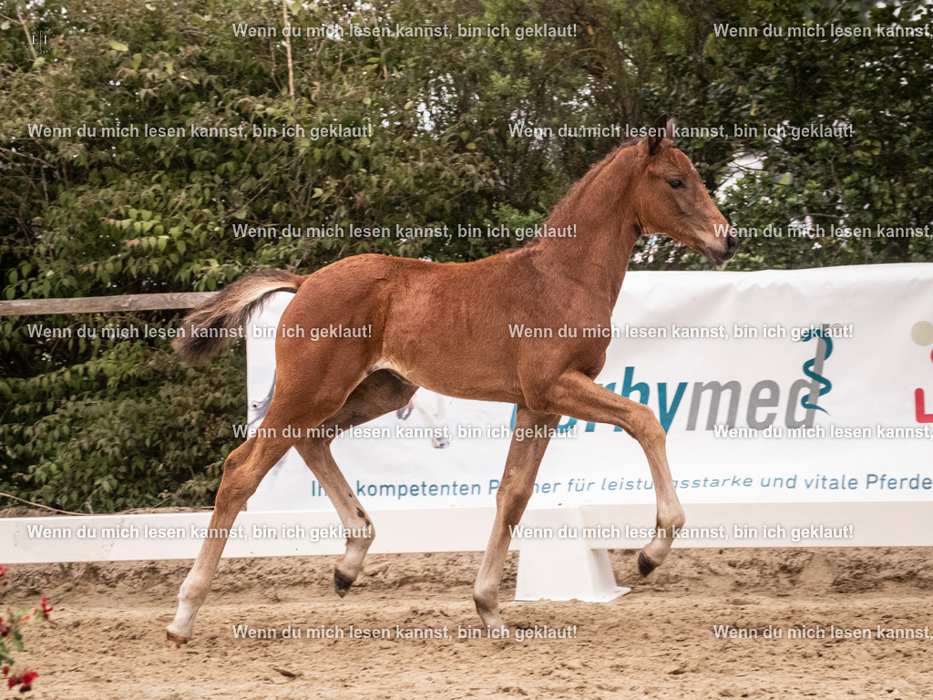 A10I6068 | photographylinaismer - Realisiert mit Pictrs.com