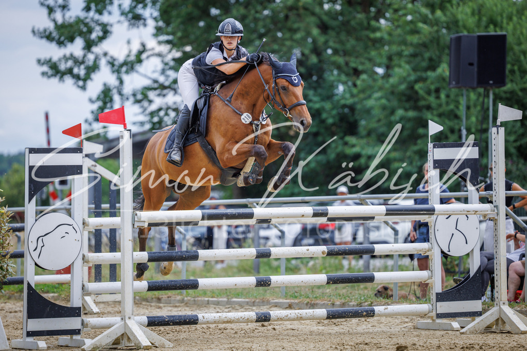 20260705-_3LI6541 | Tierfotografie Pferde, Hunde, Katzen, Haustiere.
Turnierfotografie Reitturniere, Reiten, Springreiten, Dressur in Hanau, dem Main-Kinzig-Kreis und dem Rhein-Main- Gebiet um Frankfurt
