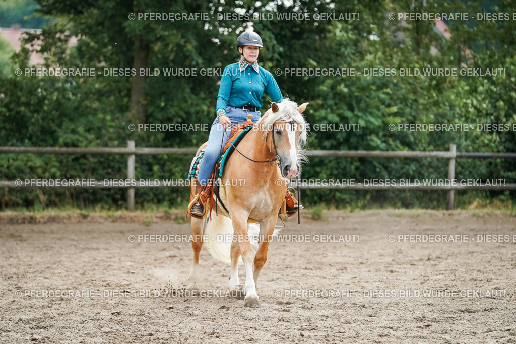 DSC04286 | Pferdegrafie