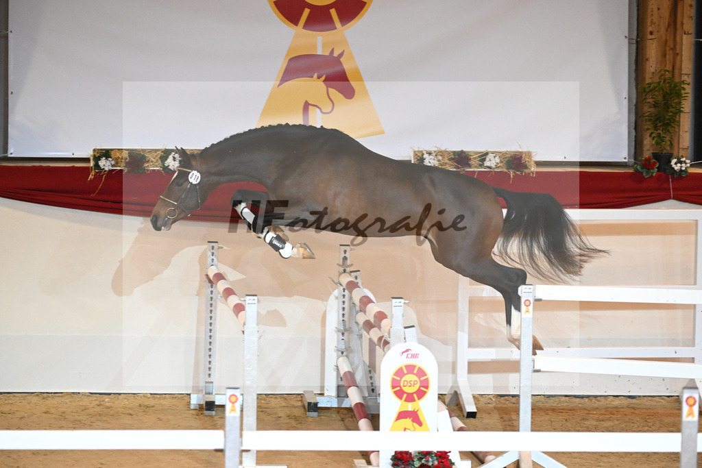 Kat-Nr. 18 Del Arko d Henvet_Mueller-Schwender_1230871 | hf-fotografie - Realizzato con Pictrs.com