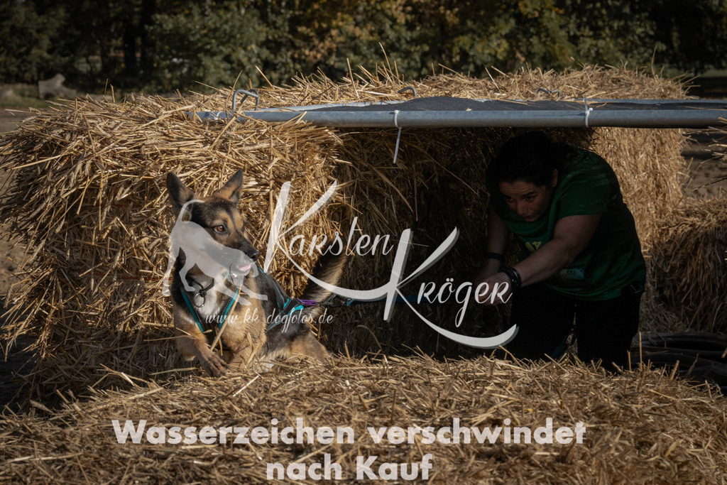 1056_ZZ99673 | kk-dogfotos
