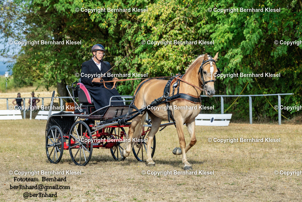A1B06794 | foto-team-bernhard - Realisiert mit Pictrs.com