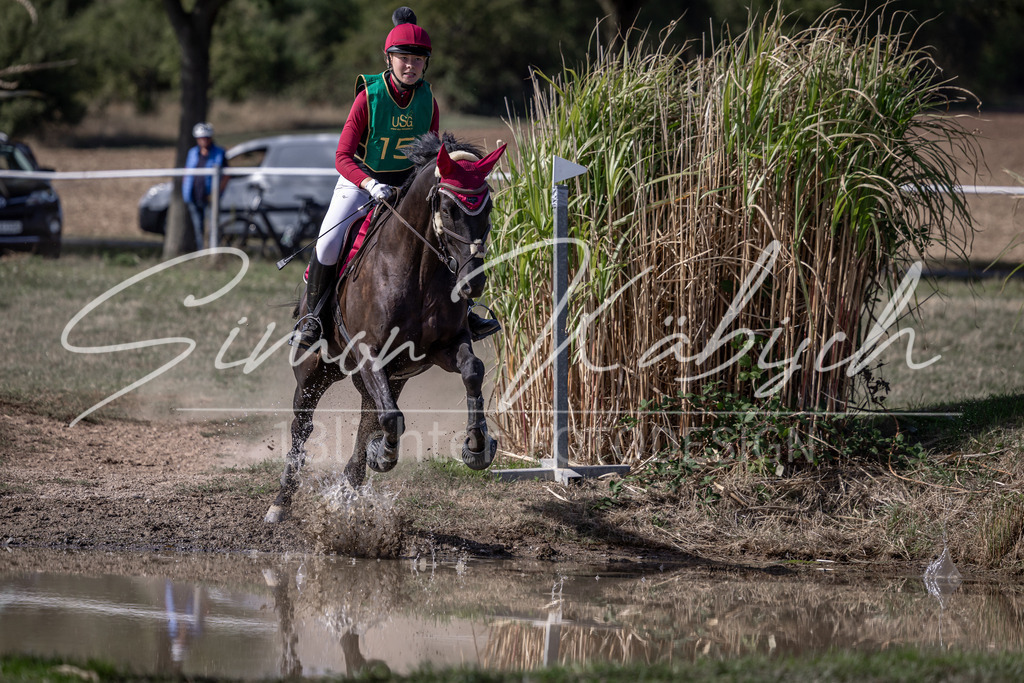 20260906-_3LI6197 | Tierfotografie Pferde, Hunde, Katzen, Haustiere.
Turnierfotografie Reitturniere, Reiten, Springreiten, Dressur in Hanau, dem Main-Kinzig-Kreis und dem Rhein-Main- Gebiet um Frankfurt