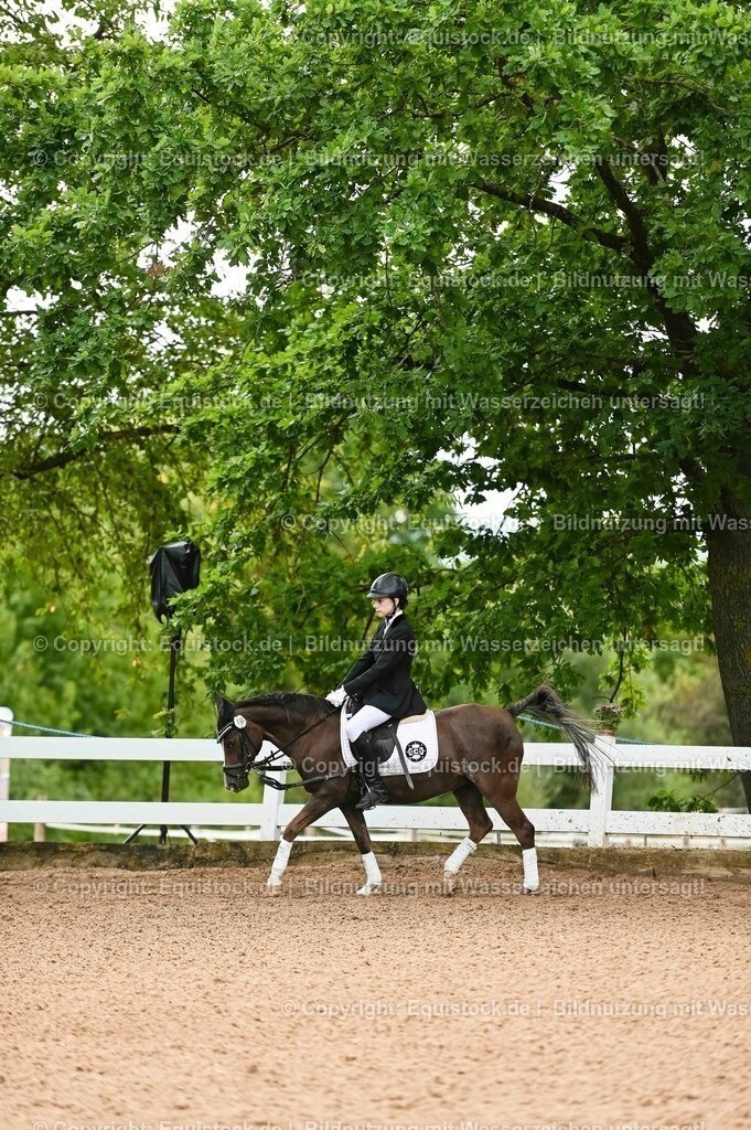 20230716_10-2_Reiter-WB Schritt - Trab - Galopp_0072 | equistock