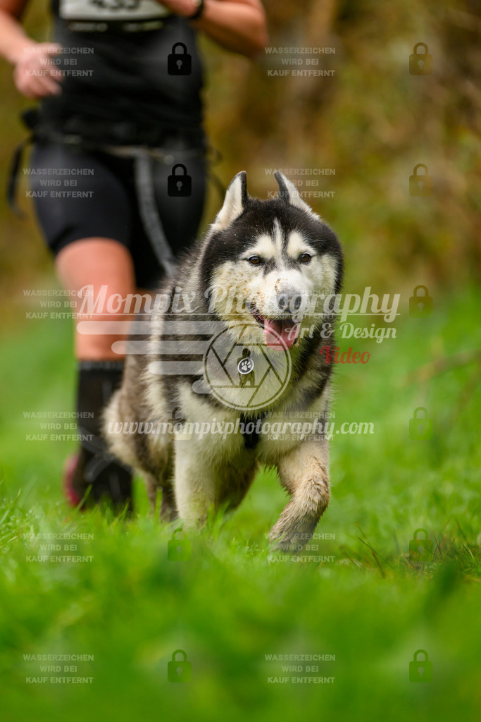 MompixPhotography_20TSB_E8_Bike-23 | PayLife