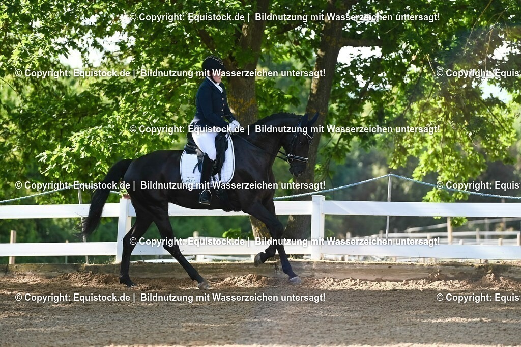 20230715_06_Dressurpferdeprfg. Kl.A_0172 | equistock