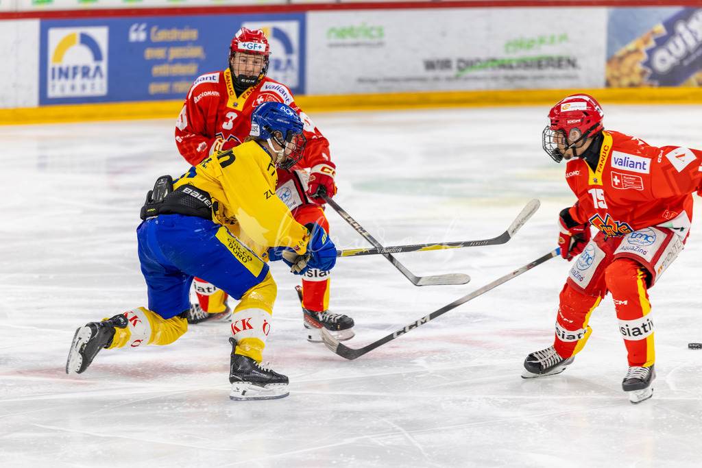 EHCB vs HCD 20262703-433157632 | Sportbilder, Sportfotograf, Hochzeits- und Eventfotografin, Flugshows, Portraits und Tiershooting, Aviation, Downhill, Nationalleague, Swissleague, International