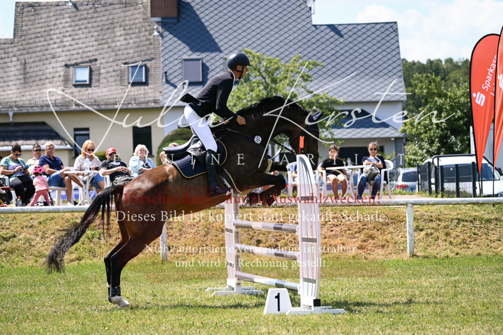 DSC_0267 | Pferde- und Turnierfotografie in Westsachsen. Pferdeportraits, Auftragszeichnungen und intuitive Kunst.