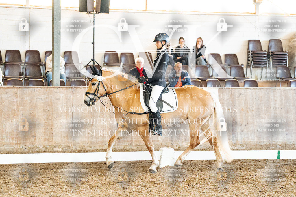 CK900273 | Turnierfotografie Pferdefotografie Trier Rheinland-Pfalz Pferdesport Reitsport Tierfotografie Sportfotografie Pferdevideo Pferdevideografie Equestrianvideography equestrianphotography  - Realisiert mit Pictrs.com