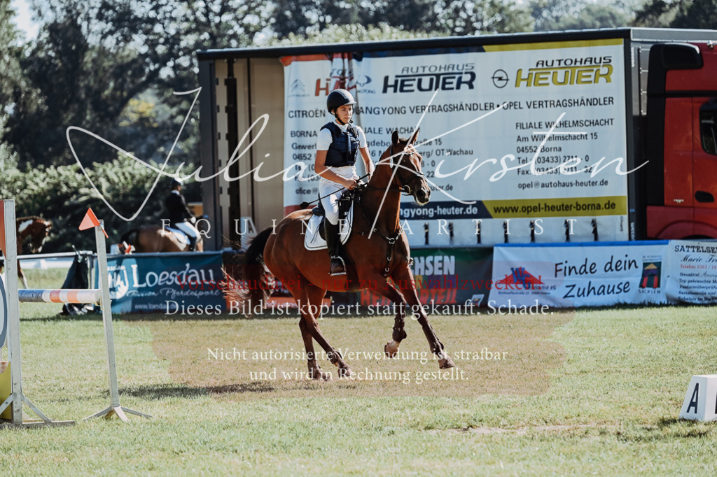 DSC_5430 | Pferde- und Turnierfotografie in Westsachsen. Pferdeportraits, Auftragszeichnungen und intuitive Kunst.