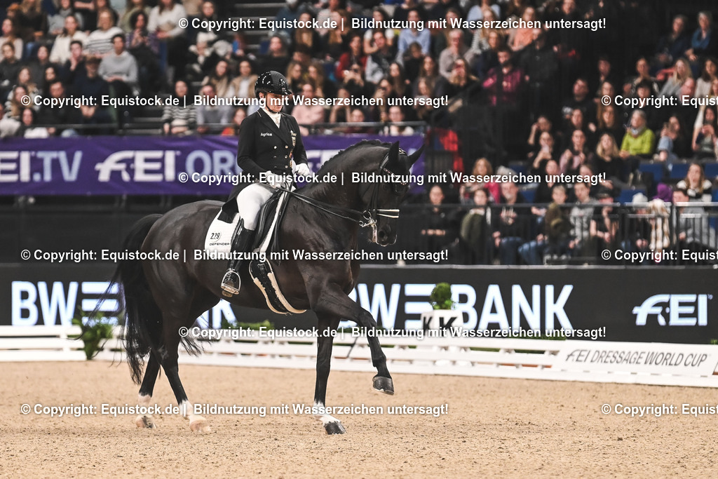 20241116_Dressur-Kür_TOMsPiC_0259 | Foto: Thomas Hartig