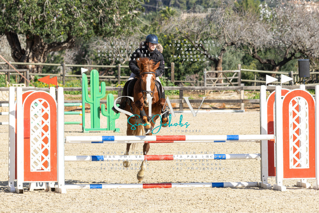 IMG_3899 | s-jay-photography - Realisiert mit Pictrs.com