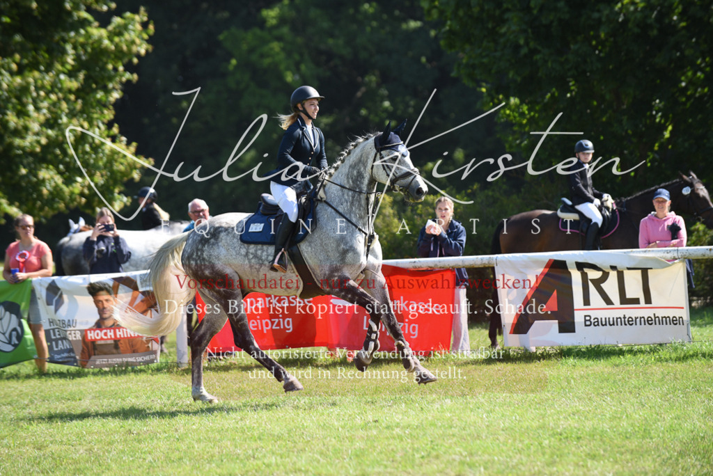 DSC_9141 | Pferde- und Turnierfotografie in Westsachsen. Pferdeportraits, Auftragszeichnungen und intuitive Kunst.