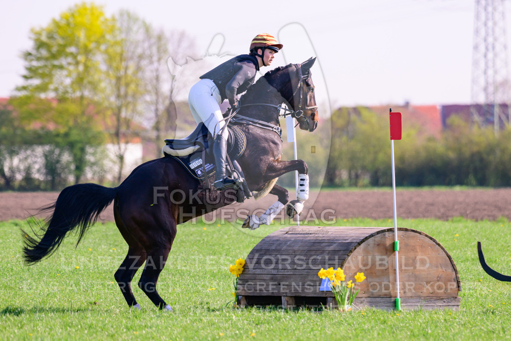 18042026-Gernlinden-03-0290 | Fokus Hufschlag Fotografie - Realisiert mit Pictrs.com