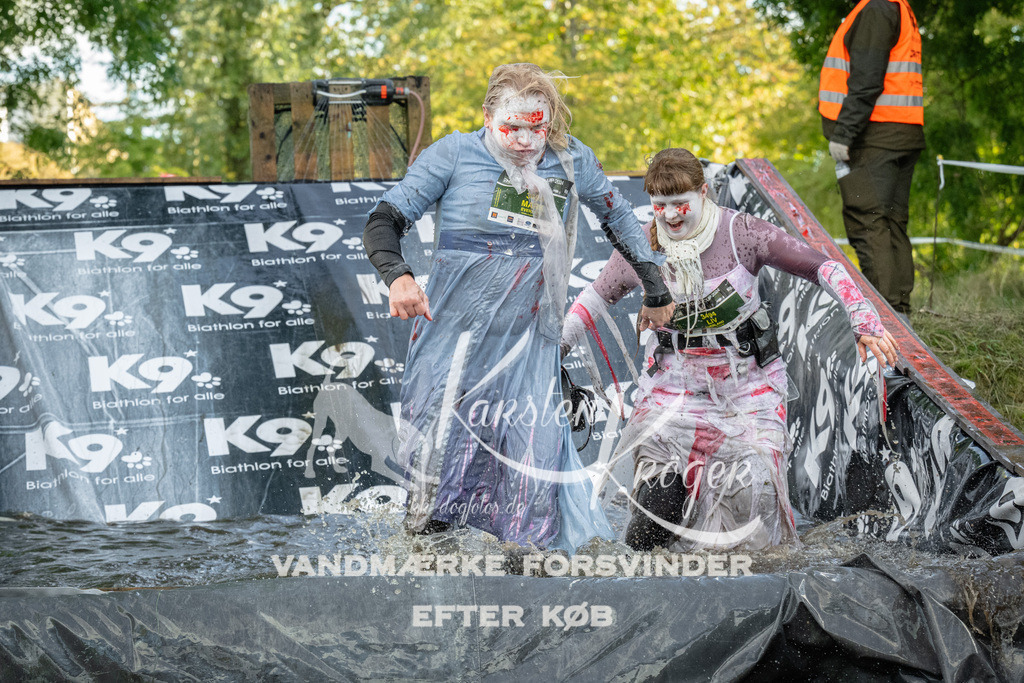 1613_ZZ92167 | kk-dogfotos