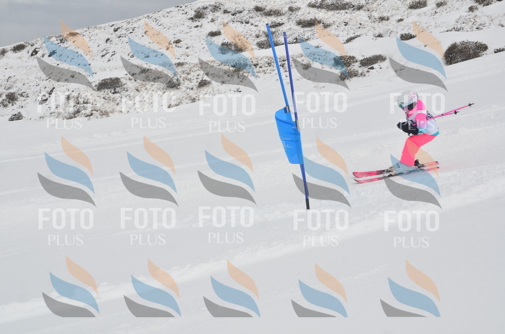 A5126 | holidayphoto