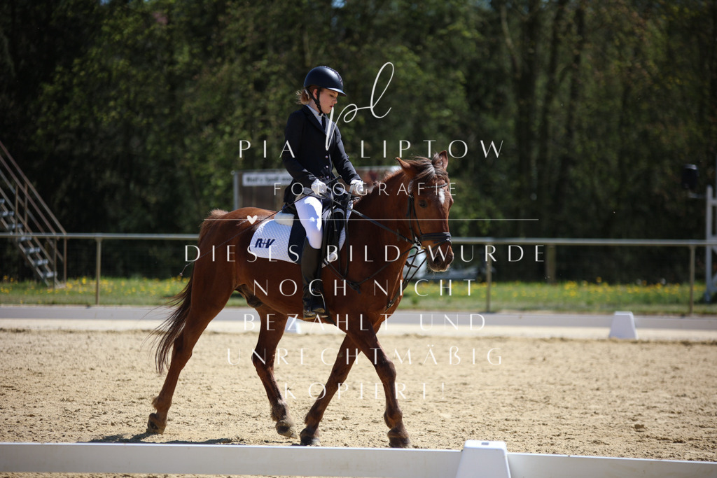 IMGT1057 | pl-fotografie