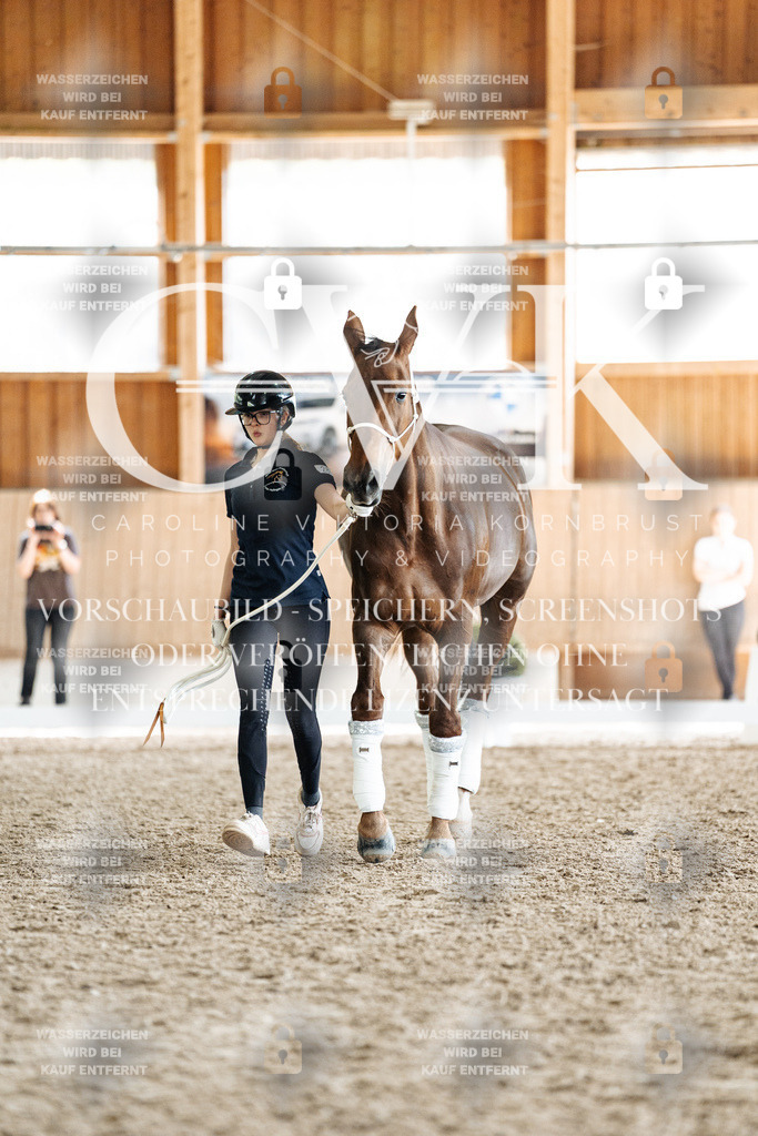 CK908237 | Turnierfotografie Pferdefotografie Trier Rheinland-Pfalz Pferdesport Reitsport Tierfotografie Sportfotografie Pferdevideo Pferdevideografie Equestrianvideography equestrianphotography  - Realisiert mit Pictrs.com