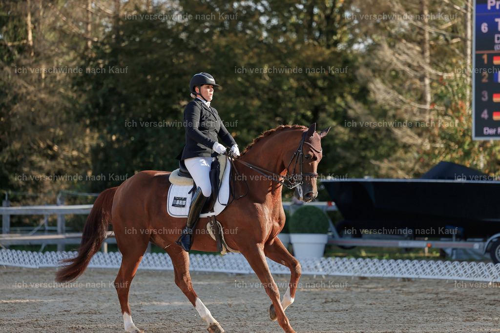 09_1-230-DRESSUR  S_  -StoibPH-5545 | working equitationturnier fotograf videograf stoibphotography marixx film working equitation deutschland reitsport turnierfotografie eventfotografie equestrian events