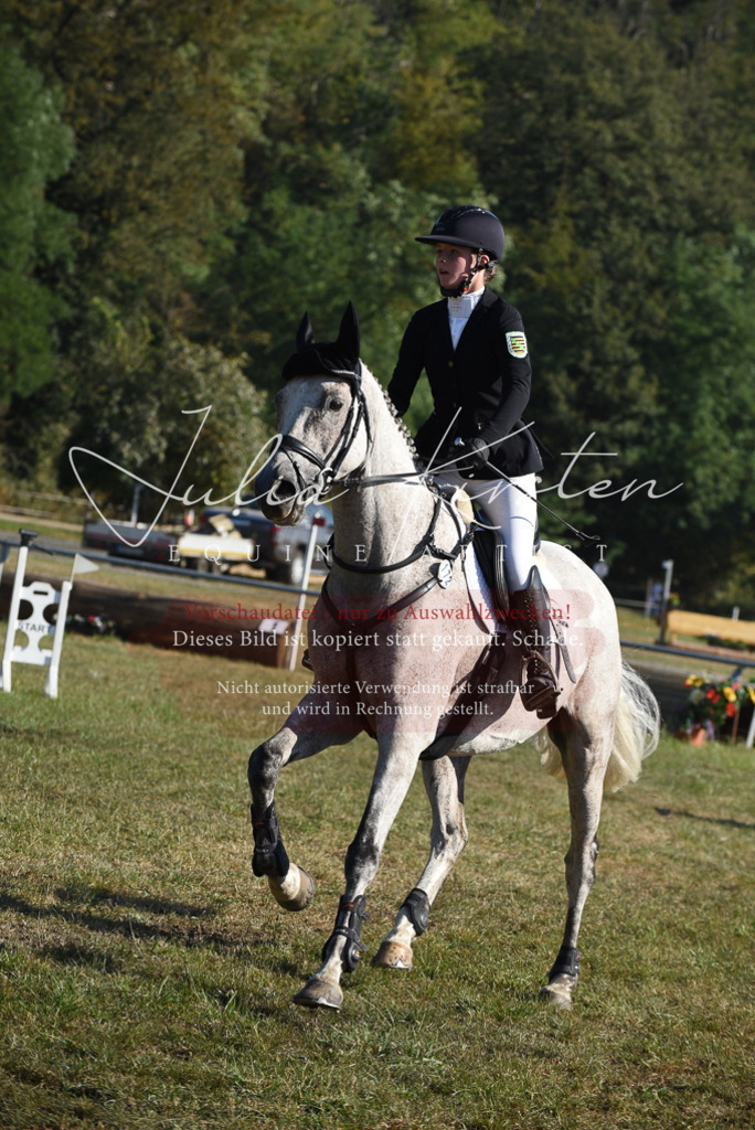 DSC_5279 | Pferde- und Turnierfotografie in Westsachsen. Pferdeportraits, Auftragszeichnungen und intuitive Kunst.
