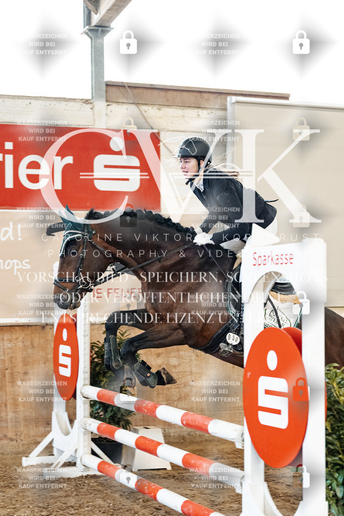 CK904286 | Turnierfotografie Pferdefotografie Trier Rheinland-Pfalz Pferdesport Reitsport Tierfotografie Sportfotografie Pferdevideo Pferdevideografie Equestrianvideography equestrianphotography  - Realisiert mit Pictrs.com