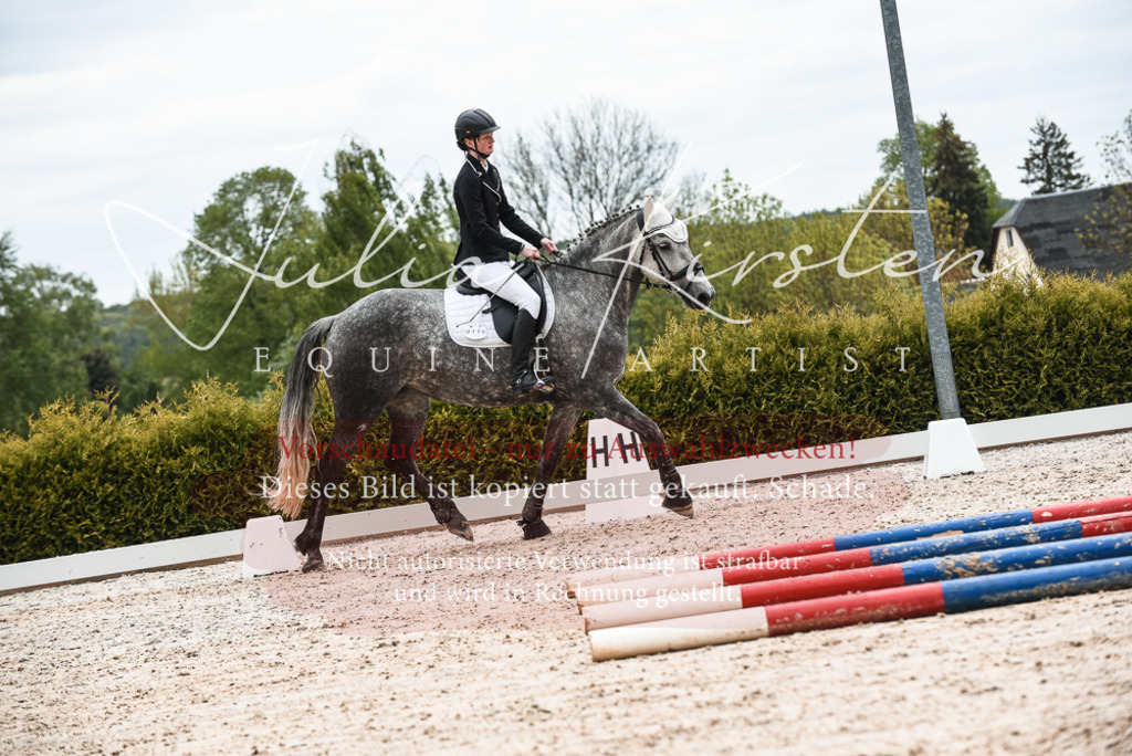 20230518_JK-Röhrsdorf-10-423 | Pferde- und Turnierfotografie in Westsachsen. Pferdeportraits, Auftragszeichnungen und intuitive Kunst.