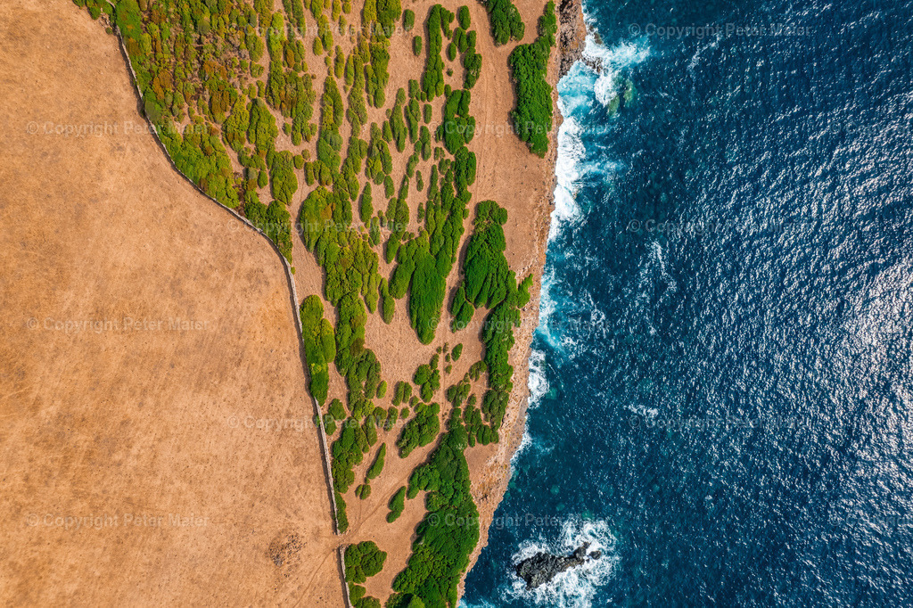 Sardinien_Divers-20 | piet_flosse
