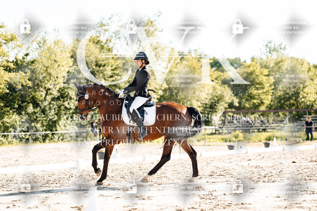 CK909872 | Turnierfotografie Pferdefotografie Trier Rheinland-Pfalz Pferdesport Reitsport Tierfotografie Sportfotografie Pferdevideo Pferdevideografie Equestrianvideography equestrianphotography  - Realisiert mit Pictrs.com