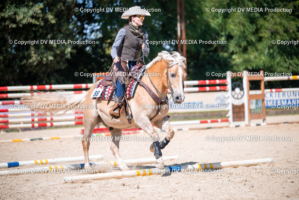 ZS1_1545 | dv-media-shop - Realisiert mit Pictrs.com