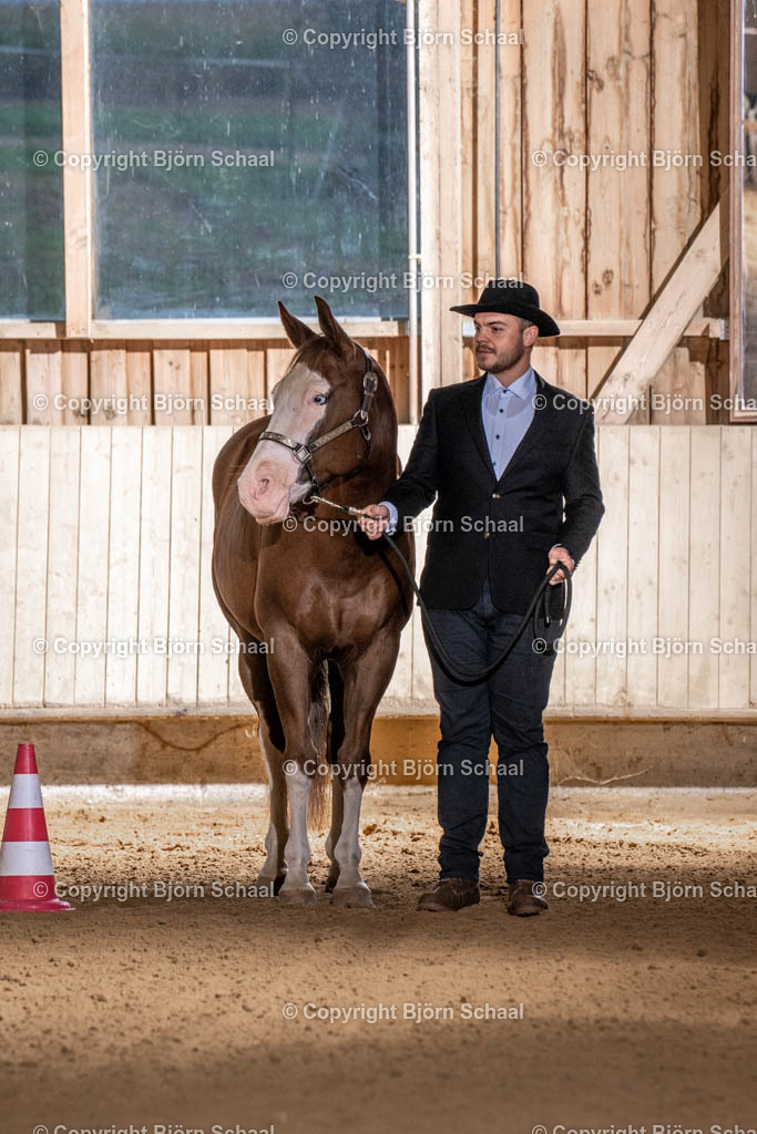 SAL00705 | BS-foto