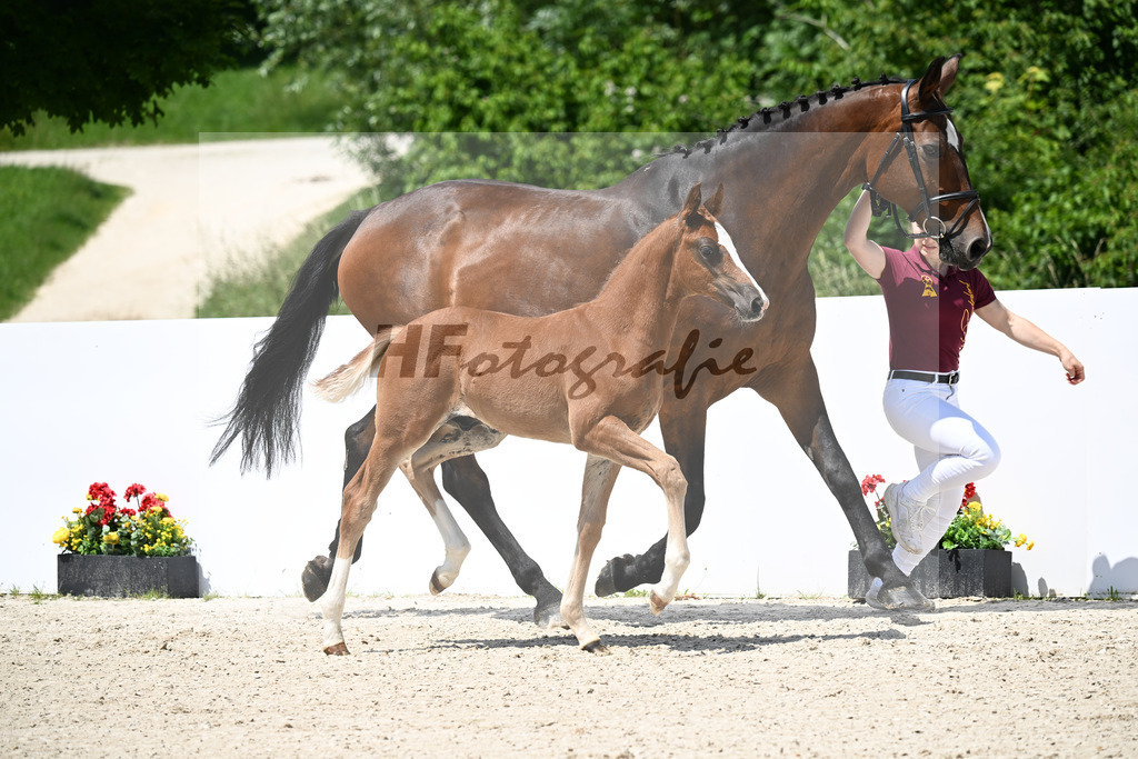 Untouchable x Contender_HF_Weber_13251259 | hf-fotografie - Realizzato con Pictrs.com