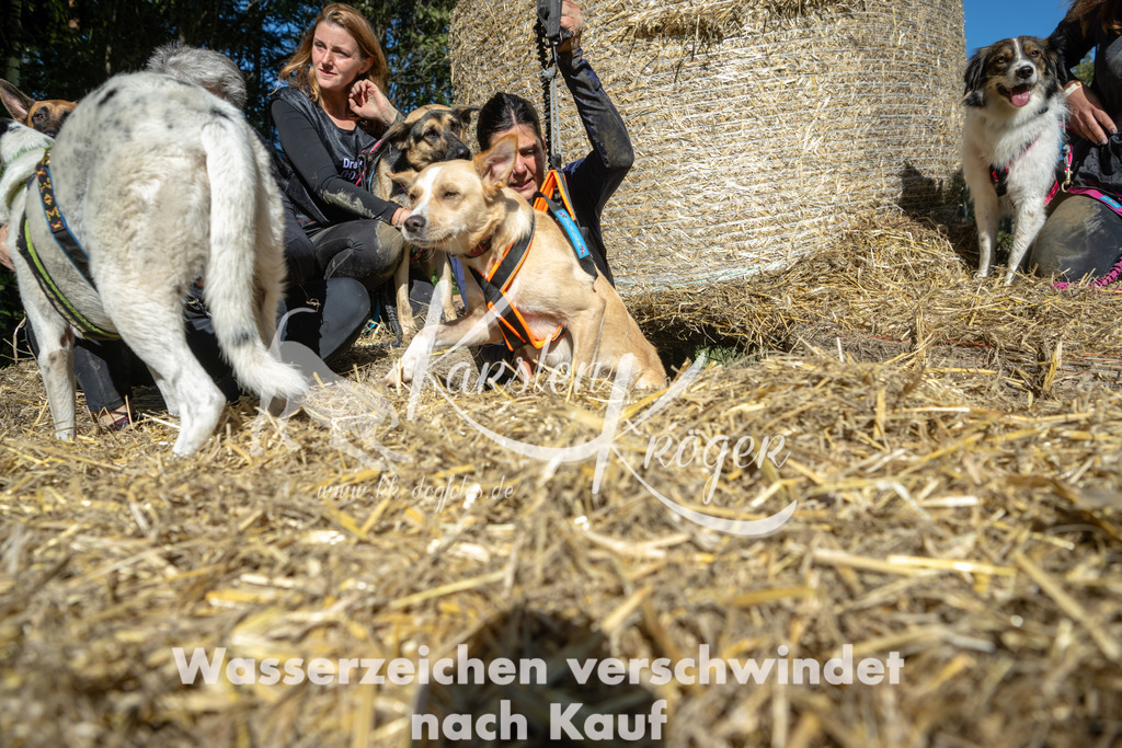 1245_ZZ92170-2 | kk-dogfotos