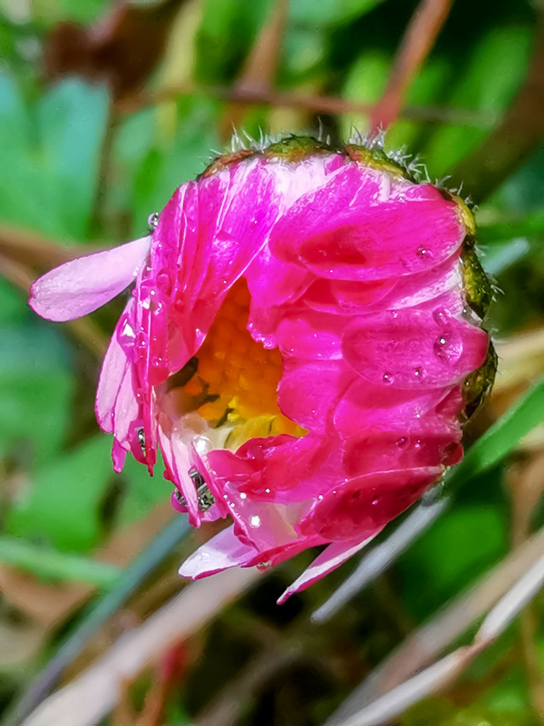 PSX_20230324_224825 | mtkfoto_ - Realisiert mit Pictrs.com