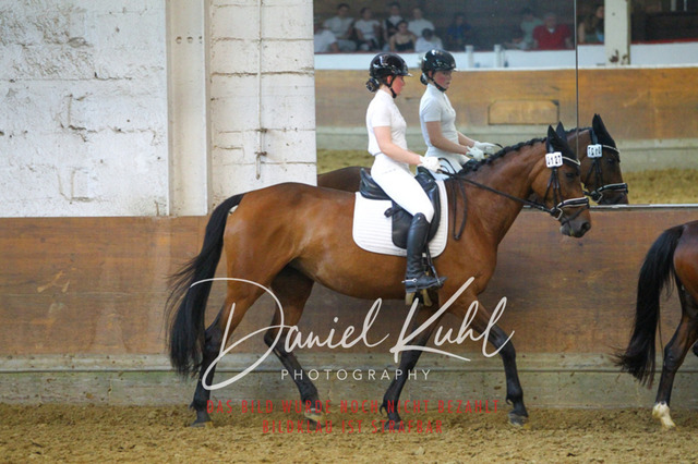 DKP44312 | Turniersportfotografie; Pferdefotografie; Dressurfotografie