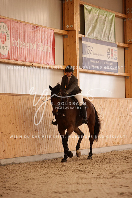 1J2A2922Constanze Voigt_ Caius 16_ Kn045_ Hohen Wieschendorf_ Glantz | Foto- und Videografie für alles rund ums Pferd. Hochwertige Bilder und Videos vom Spring- und Dressurreiten, Voltigieren & mehr. Jetzt aktuelle Veranstaltungen und Preise im Shop ansehen. - Realisiert mit Pictrs.com